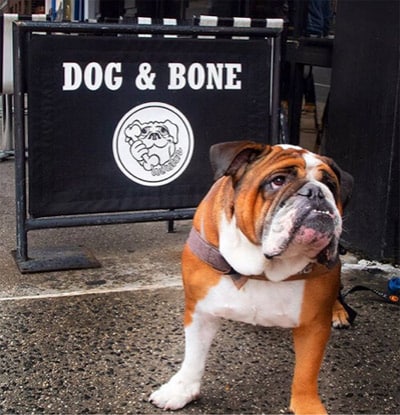 dog & bone soccer pub midtown